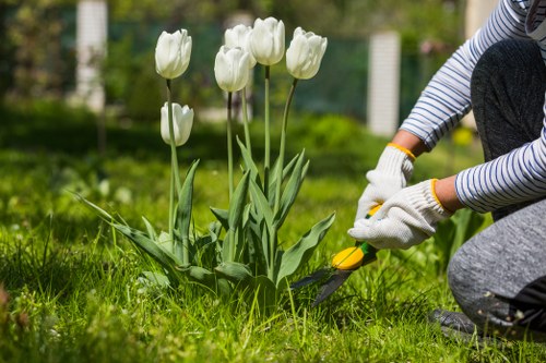 Senior gardener inspecting plants
