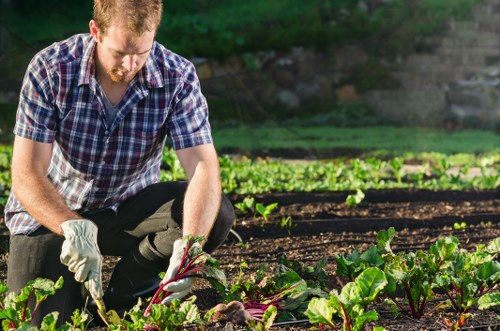 Community gardener setting up eco-friendly waste area in Bethnal Green