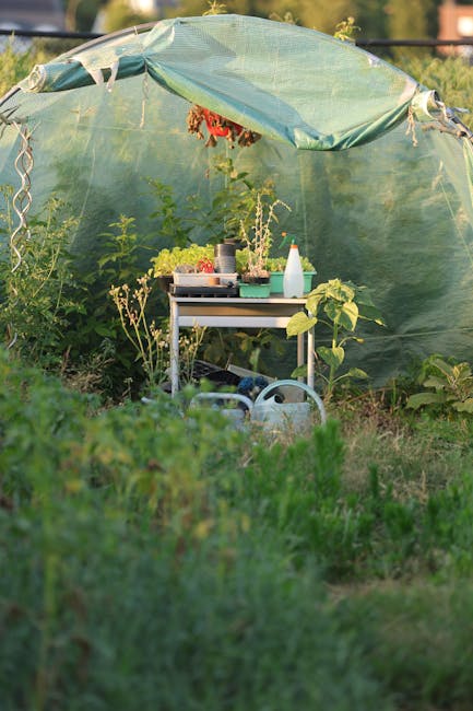A small garden section featuring a makeshift greenhouse created from a green mesh canopy supported by flexible poles, providing a sheltered environment for various plants. Inside, there is a white tre