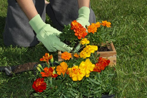 Team of Gardener Bethnal Green working on a garden project